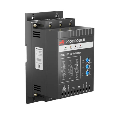 P2S-100-4-2T2-B-B P2S-100-4-2T2-B-B